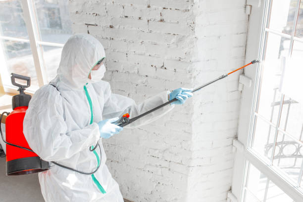 Mold Remediation for Rental Properties in Amberley, OH