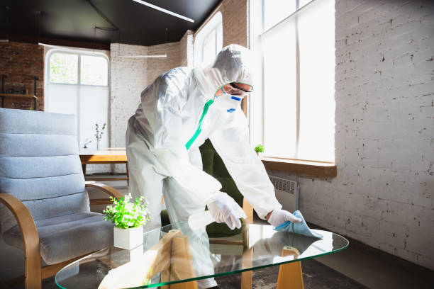 Biohazard Mold Removal in Amberley, OH